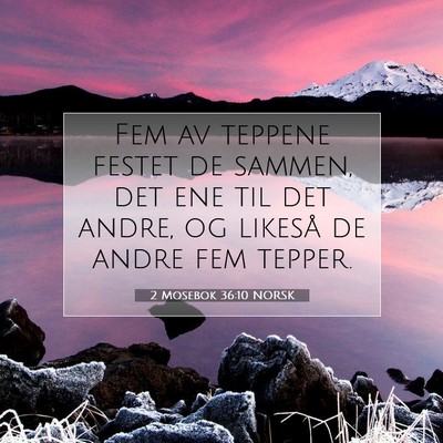 Picture 07 - 2 Mosebok 36:10 NORSK - Fem av teppene festet de sammen, det ene til det - Bible Verse Picture