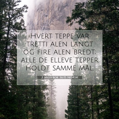 Picture 07 - 2 Mosebok 36:15 NORSK - Hvert teppe var tretti alen langt og fire alen - Bible Verse Picture