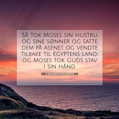 Picture 07 - 2 Mosebok 4:20 NORSK - Så tok Moses sin hustru og sine sønner og satte - Bible Verse Picture
