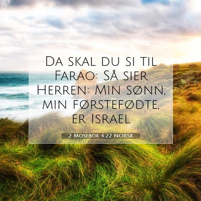 Picture 07 - 2 Mosebok 4:22 NORSK - Da skal du si til Farao: Så sier Herren: Min - Bible Verse Picture