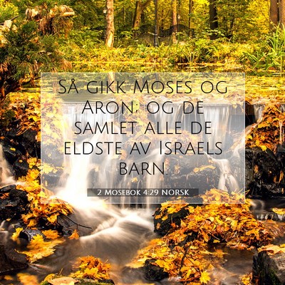 Picture 07 - 2 Mosebok 4:29 NORSK - Så gikk Moses og Aron; og de samlet alle de - Bible Verse Picture