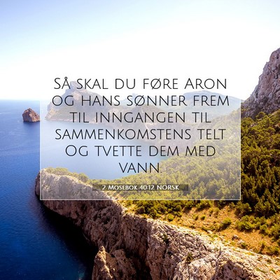 Picture 07 - 2 Mosebok 40:12 NORSK - Så skal du føre Aron og hans sønner frem til - Bible Verse Picture