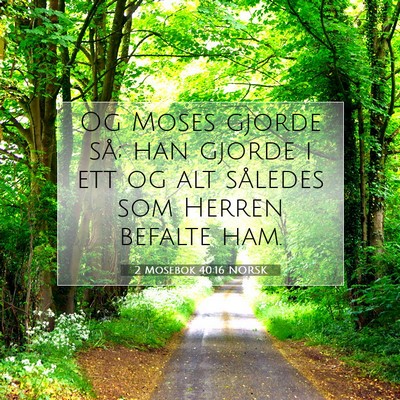 Picture 07 - 2 Mosebok 40:16 NORSK - Og Moses gjorde så; han gjorde i ett og alt - Bible Verse Picture
