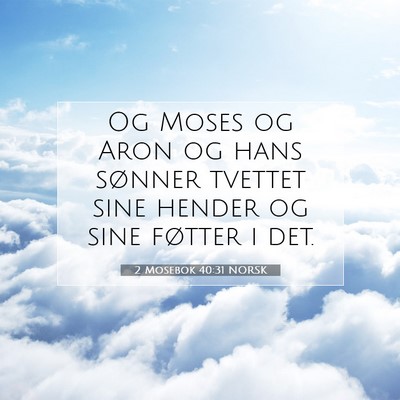 Picture 07 - 2 Mosebok 40:31 NORSK - Og Moses og Aron og hans sønner tvettet sine - Bible Verse Picture