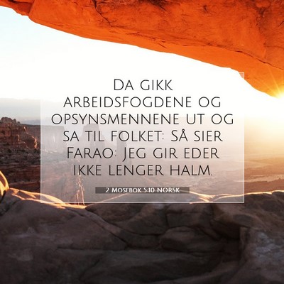 Picture 07 - 2 Mosebok 5:10 NORSK - Da gikk arbeidsfogdene og opsynsmennene ut og sa - Bible Verse Picture