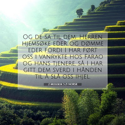 Picture 07 - 2 Mosebok 5:21 NORSK - Og de sa til dem: Herren hjemsøke eder og dømme - Bible Verse Picture