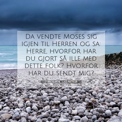 Picture 07 - 2 Mosebok 5:22 NORSK - Da vendte Moses sig igjen til Herren og sa: - Bible Verse Picture