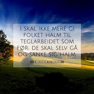 Picture 07 - 2 Mosebok 5:7 NORSK - I skal ikke mere gi folket halm til teglarbeidet, - Bible Verse Picture