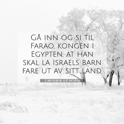 Picture 07 - 2 Mosebok 6:11 NORSK - Gå inn og si til Farao, kongen i Egypten, at han - Bible Verse Picture