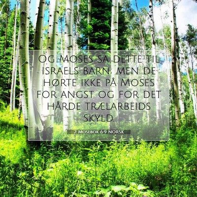 Picture 07 - 2 Mosebok 6:9 NORSK - Og Moses sa dette til Israels barn; men de hørte - Bible Verse Picture