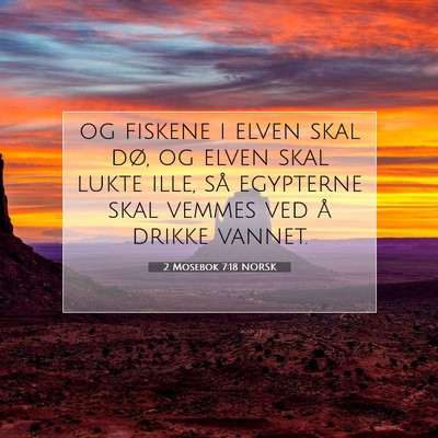 Picture 07 - 2 Mosebok 7:18 NORSK - og fiskene i elven skal dø, og elven skal lukte - Bible Verse Picture