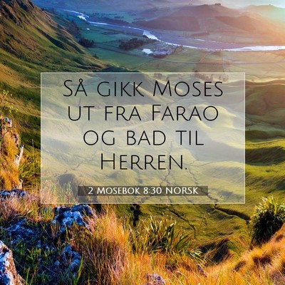 Picture 07 - 2 Mosebok 8:30 NORSK - Så gikk Moses ut fra Farao og bad til - Bible Verse Picture