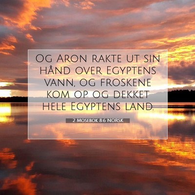 Picture 07 - 2 Mosebok 8:6 NORSK - Og Aron rakte ut sin hånd over Egyptens vann, og - Bible Verse Picture