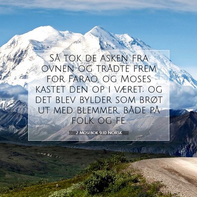 Picture 07 - 2 Mosebok 9:10 NORSK - Så tok de asken fra ovnen og trådte frem for - Bible Verse Picture