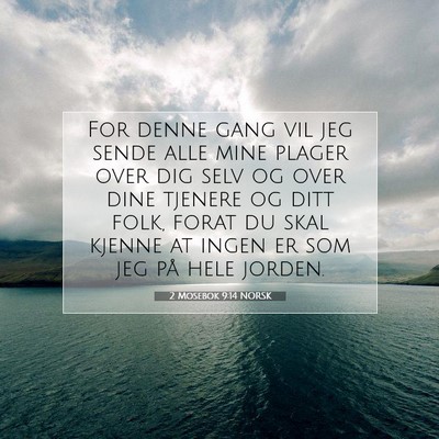 Picture 07 - 2 Mosebok 9:14 NORSK - For denne gang vil jeg sende alle mine plager - Bible Verse Picture