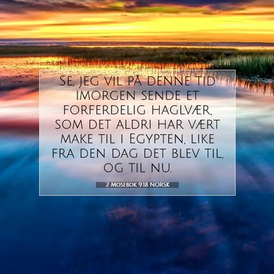 Picture 07 - 2 Mosebok 9:18 NORSK - Se, jeg vil på denne tid imorgen sende et - Bible Verse Picture