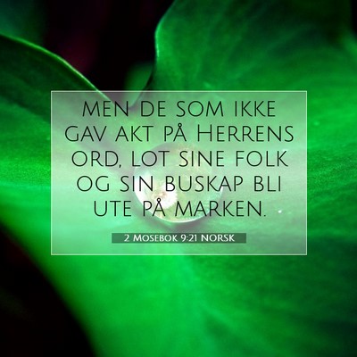 Picture 07 - 2 Mosebok 9:21 NORSK - men de som ikke gav akt på Herrens ord, lot sine - Bible Verse Picture