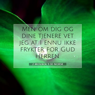 Picture 07 - 2 Mosebok 9:30 NORSK - Men om dig og dine tjenere vet jeg at I ennu ikke - Bible Verse Picture