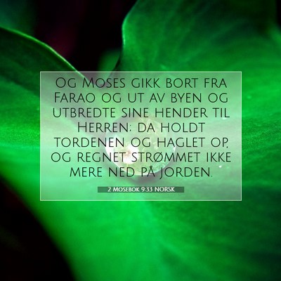 Picture 07 - 2 Mosebok 9:33 NORSK - Og Moses gikk bort fra Farao og ut av byen og - Bible Verse Picture