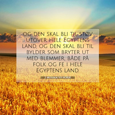 Picture 07 - 2 Mosebok 9:9 NORSK - og den skal bli til støv utover hele Egyptens - Bible Verse Picture