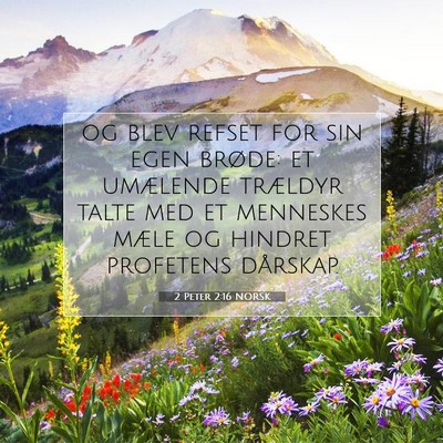 Picture 07 - 2 Peter 2:16 NORSK - og blev refset for sin egen brøde: et umælende - Bible Verse Picture