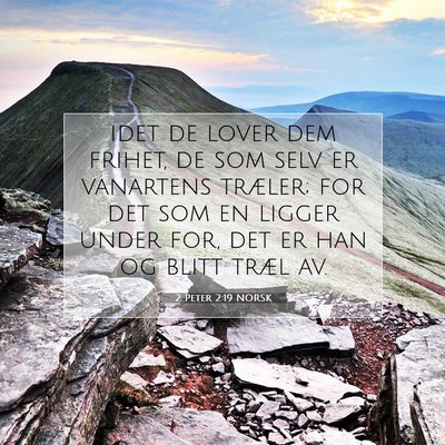 Picture 07 - 2 Peter 2:19 NORSK - idet de lover dem frihet, de som selv er - Bible Verse Picture