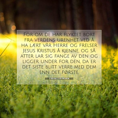 Picture 07 - 2 Peter 2:20 NORSK - For om de har flyktet bort fra verdens urenhet - Bible Verse Picture