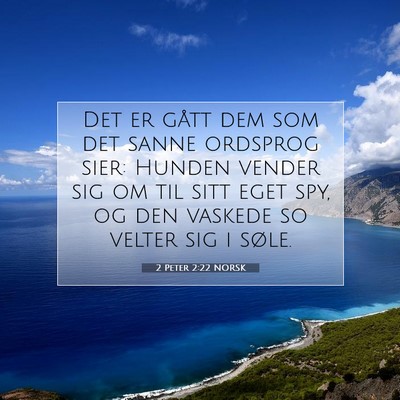 Picture 07 - 2 Peter 2:22 NORSK - Det er gått dem som det sanne ordsprog sier: - Bible Verse Picture