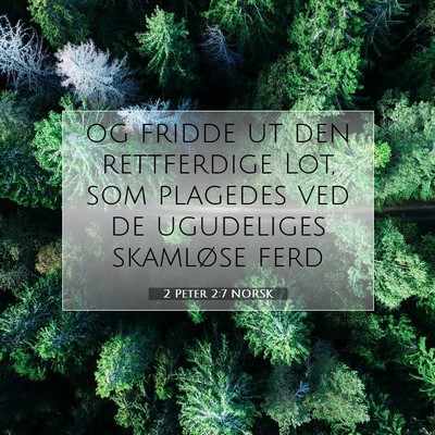 Picture 07 - 2 Peter 2:7 NORSK - og fridde ut den rettferdige Lot, som plagedes - Bible Verse Picture