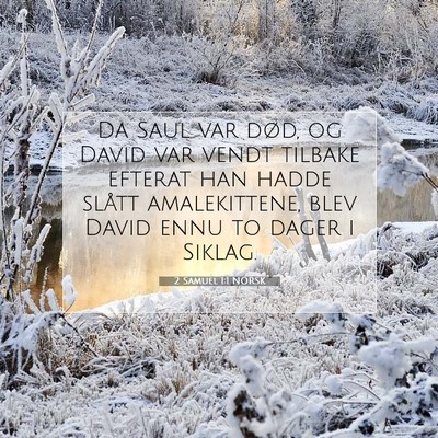 Picture 07 - 2 Samuel 1:1 NORSK - Da Saul var død, og David var vendt tilbake - Bible Verse Picture