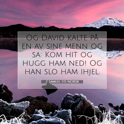 Picture 07 - 2 Samuel 1:15 NORSK - Og David kalte på en av sine menn og sa: Kom hit - Bible Verse Picture