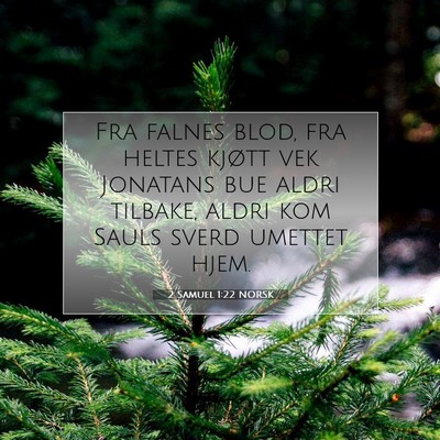 Picture 07 - 2 Samuel 1:22 NORSK - Fra falnes blod, fra heltes kjøtt vek Jonatans - Bible Verse Picture