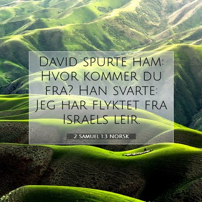 Picture 07 - 2 Samuel 1:3 NORSK - David spurte ham: Hvor kommer du fra? Han svarte: - Bible Verse Picture