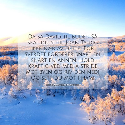 Picture 07 - 2 Samuel 11:25 NORSK - Da sa David til budet: Så skal du si til Joab: - Bible Verse Picture
