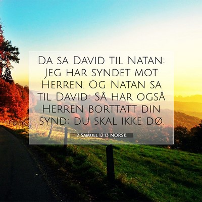 Picture 07 - 2 Samuel 12:13 NORSK - Da sa David til Natan: Jeg har syndet mot Herren. - Bible Verse Picture