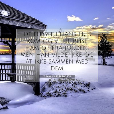Picture 07 - 2 Samuel 12:17 NORSK - De eldste i hans hus kom og vilde reise ham op - Bible Verse Picture