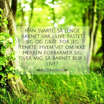 Picture 07 - 2 Samuel 12:22 NORSK - Han svarte: Så lenge barnet var i live, fastet - Bible Verse Picture