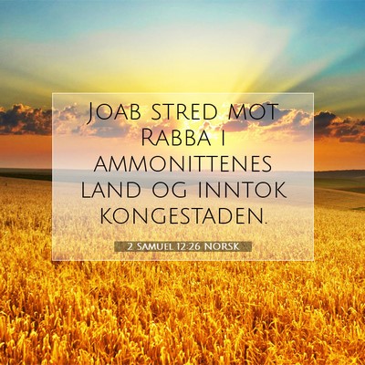 Picture 07 - 2 Samuel 12:26 NORSK - Joab stred mot Rabba i ammonittenes land og - Bible Verse Picture