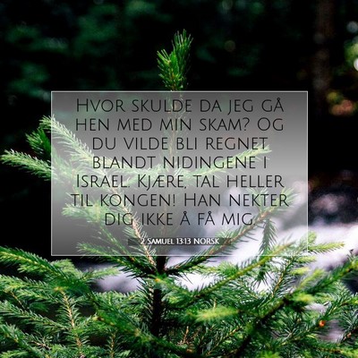 Picture 07 - 2 Samuel 13:13 NORSK - Hvor skulde da jeg gå hen med min skam? Og du - Bible Verse Picture