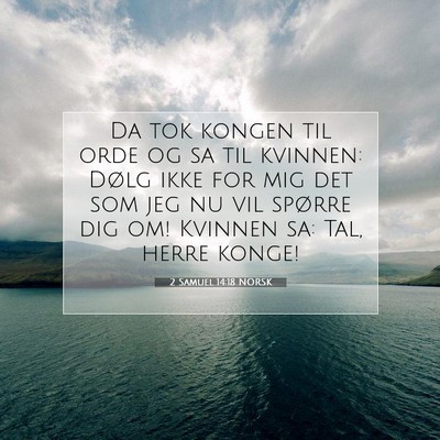 Picture 07 - 2 Samuel 14:18 NORSK - Da tok kongen til orde og sa til kvinnen: Dølg - Bible Verse Picture