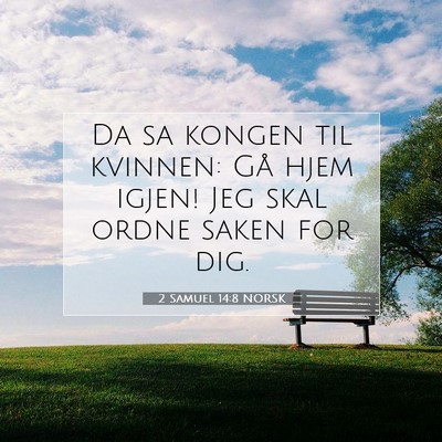 Picture 07 - 2 Samuel 14:8 NORSK - Da sa kongen til kvinnen: Gå hjem igjen! Jeg - Bible Verse Picture