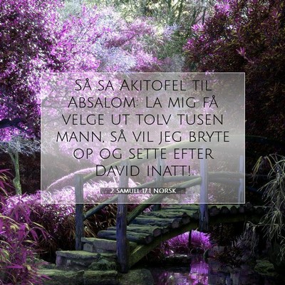 Picture 07 - 2 Samuel 17:1 NORSK - Så sa Akitofel til Absalom: La mig få velge ut - Bible Verse Picture