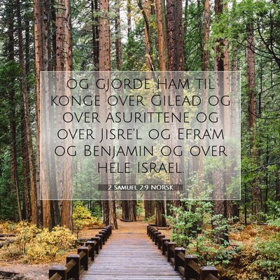 Picture 07 - 2 Samuel 2:9 NORSK - og gjorde ham til konge over Gilead og over - Bible Verse Picture
