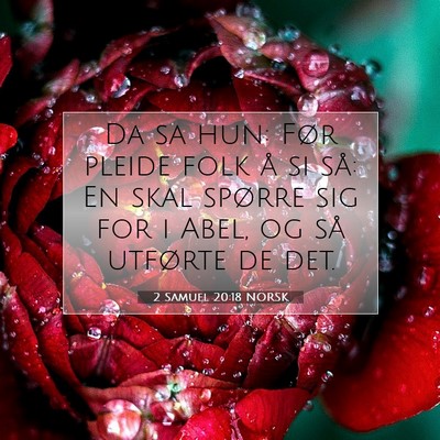 Picture 07 - 2 Samuel 20:18 NORSK - Da sa hun: Før pleide folk å si så: En skal - Bible Verse Picture