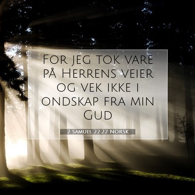 Picture 07 - 2 Samuel 22:22 NORSK - For jeg tok vare på Herrens veier og vek ikke i - Bible Verse Picture