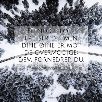 Picture 07 - 2 Samuel 22:28 NORSK - Elendige folk frelser du, men dine øine er mot - Bible Verse Picture