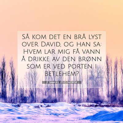 Picture 07 - 2 Samuel 23:15 NORSK - Så kom det en brå lyst over David, og han sa: - Bible Verse Picture