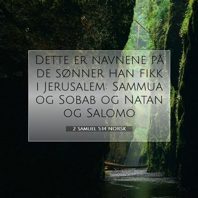 Picture 07 - 2 Samuel 5:14 NORSK - Dette er navnene på de sønner han fikk i - Bible Verse Picture