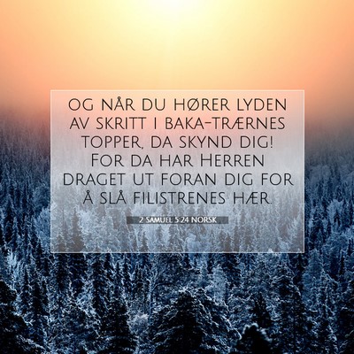 Picture 07 - 2 Samuel 5:24 NORSK - og når du hører lyden av skritt i baka-trærnes - Bible Verse Picture
