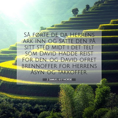 Picture 07 - 2 Samuel 6:17 NORSK - Så førte de da Herrens ark inn og satte den på - Bible Verse Picture